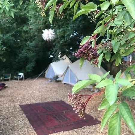 Into The Glamping - Chestnut Campo de lujo