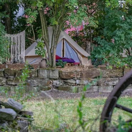 Into The Glamping - Chestnut *