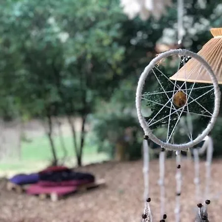 Into The Glamping - Chestnut *